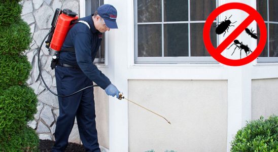 Balışeyh Gümüşkurt İlaçlama böcek ilaçlama ve haşere kontrolü — ilaclama-tr.com